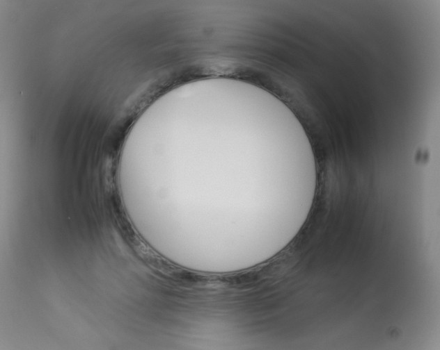 X0000114010598200910020954