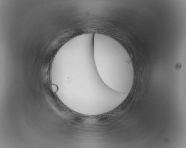 X0000114010599200910020954