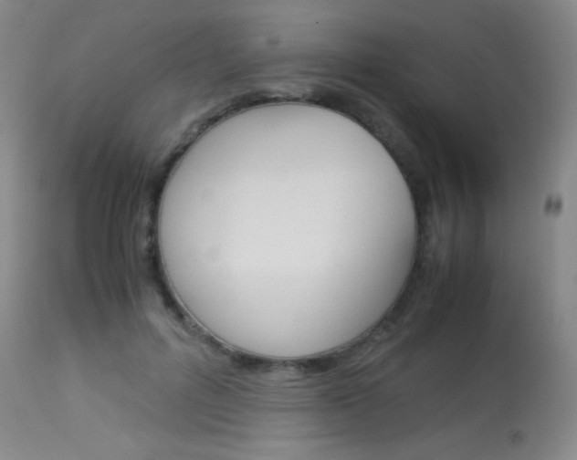 X0000114010600200910020954