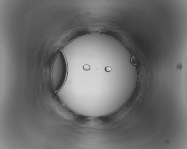 X0000114010601200910020954