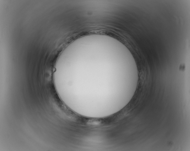 X0000114010602200910020954