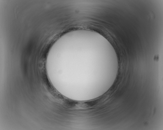X0000114010603200910020954