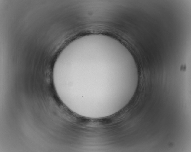 X0000114010604200910020954