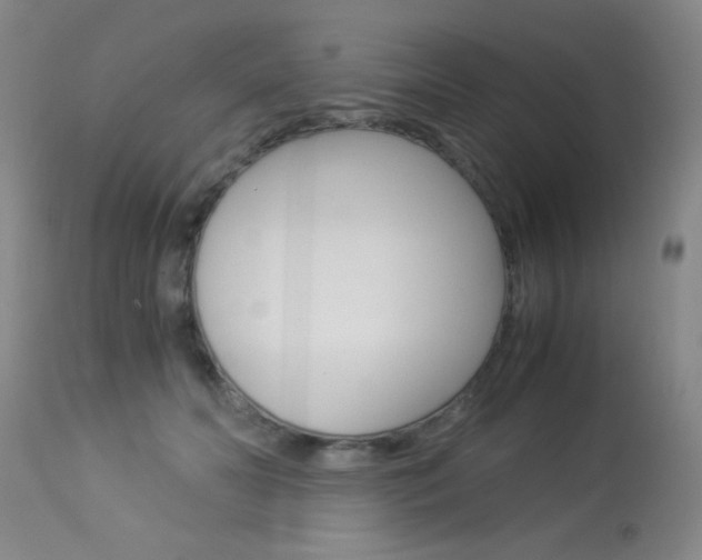 X0000114010606200910020954