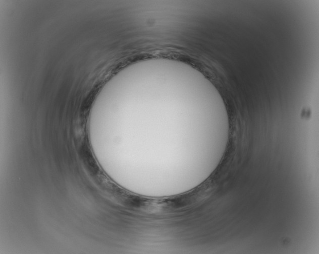 X0000114010607200910020954
