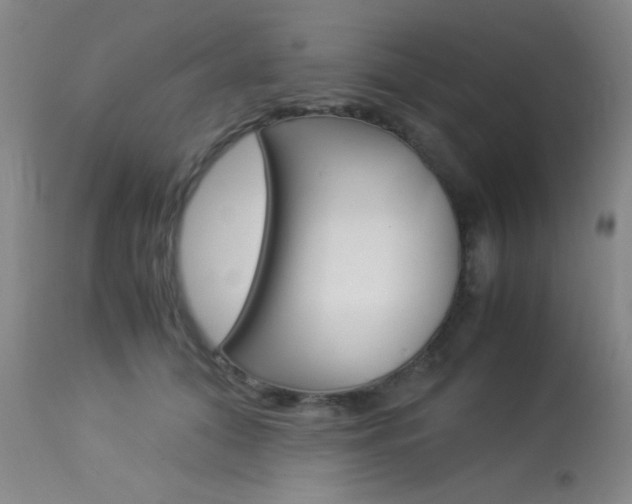 X0000114010608200910020954