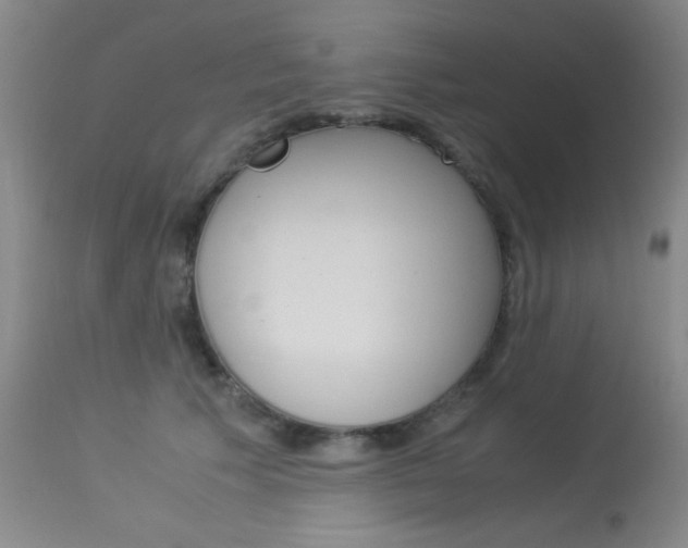 X0000114010609200910020954