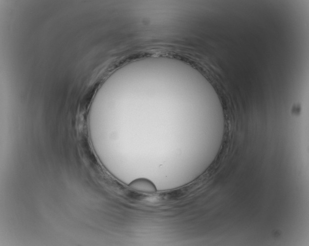 X0000114010611200910020954