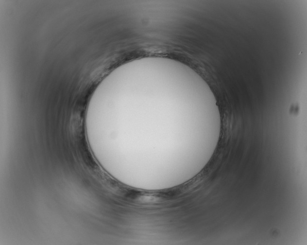 X0000114010614200910020954