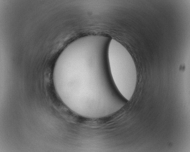 X0000114010615200910020954