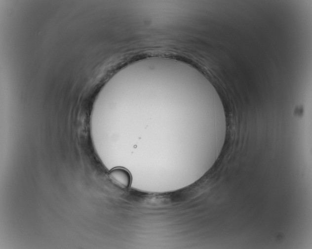 X0000114010619200910020954