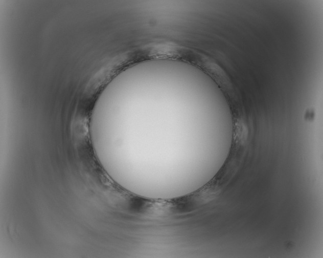 X0000114010621200910020954