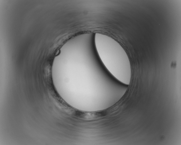 X0000114010623200910020954