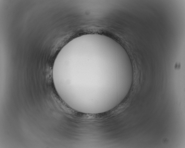 X0000114010624200910020954