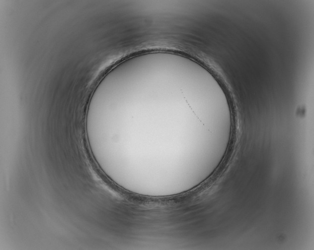 X0000114010625200910020953