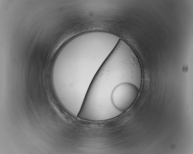 X0000114010626200910020953