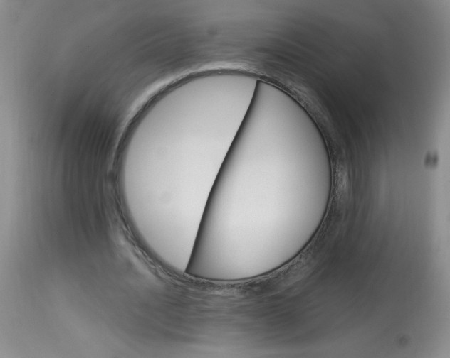 X0000114010628200910020953