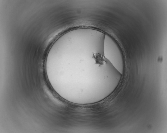 X0000114010629200910020953