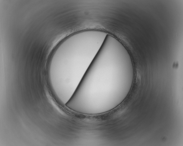 X0000114010630200910020953