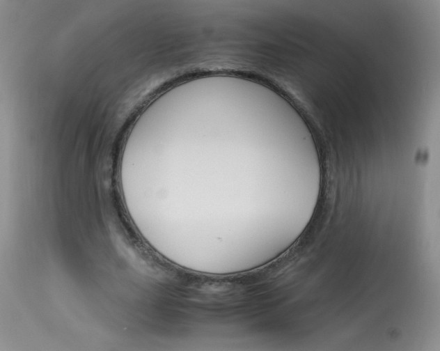 X0000114010631200910020953