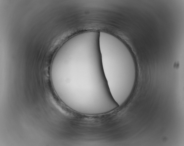 X0000114010633200910020953