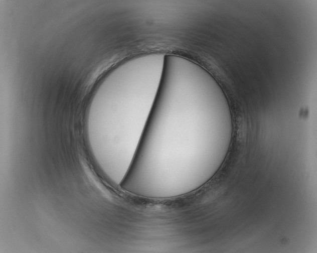 X0000114010634200910020953