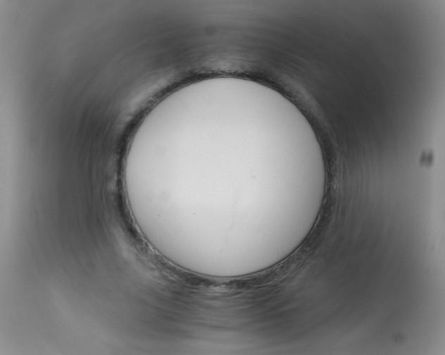 X0000114010635200910020953