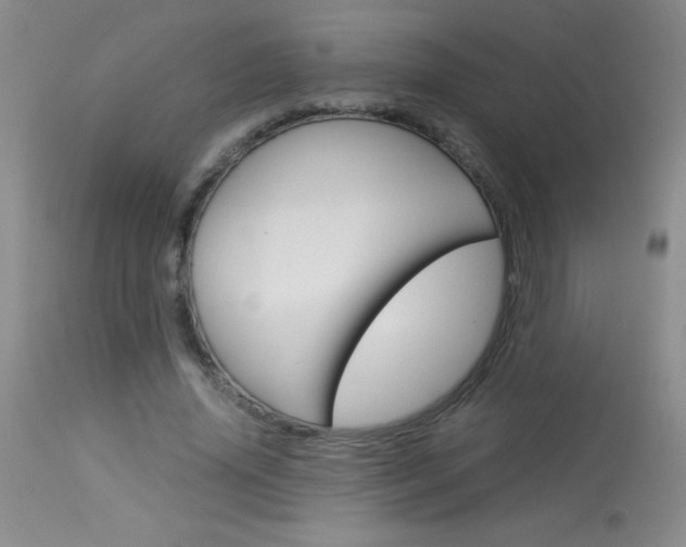 X0000114010636200910020953