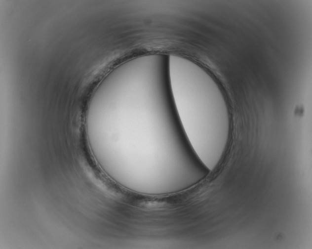 X0000114010637200910020953