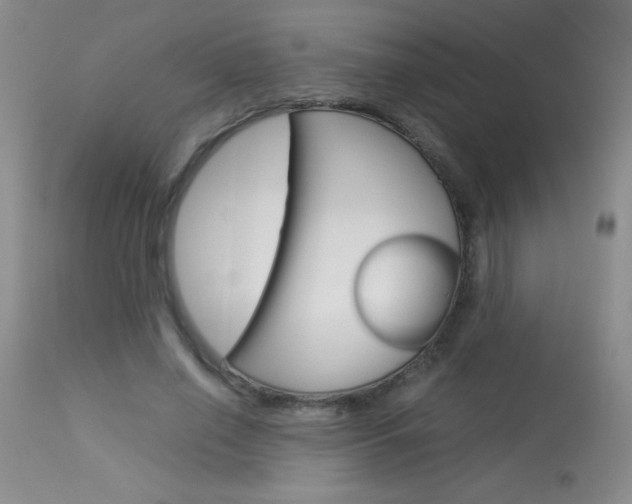 X0000114010638200910020953
