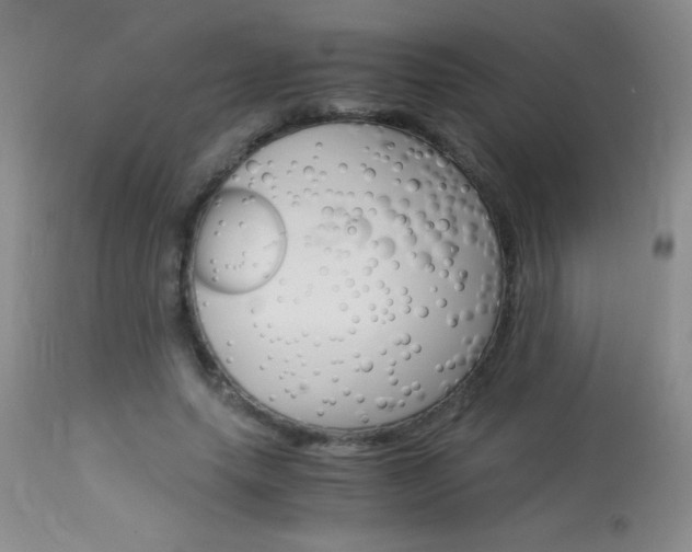 X0000114010639200910020953