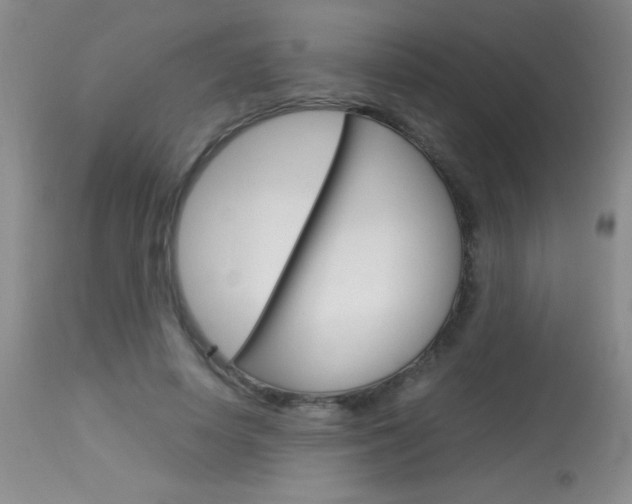 X0000114010642200910020953