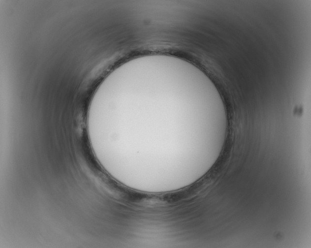 X0000114010644200910020953