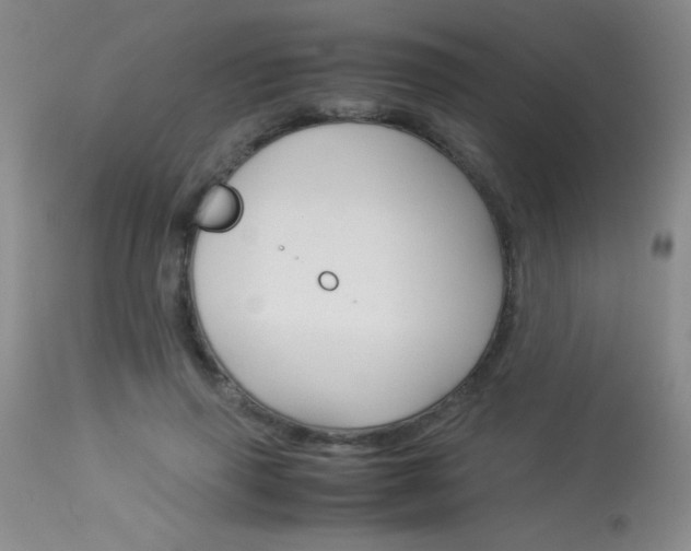 X0000114010645200910020953