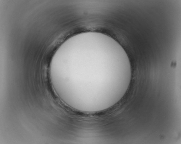 X0000114010646200910020953