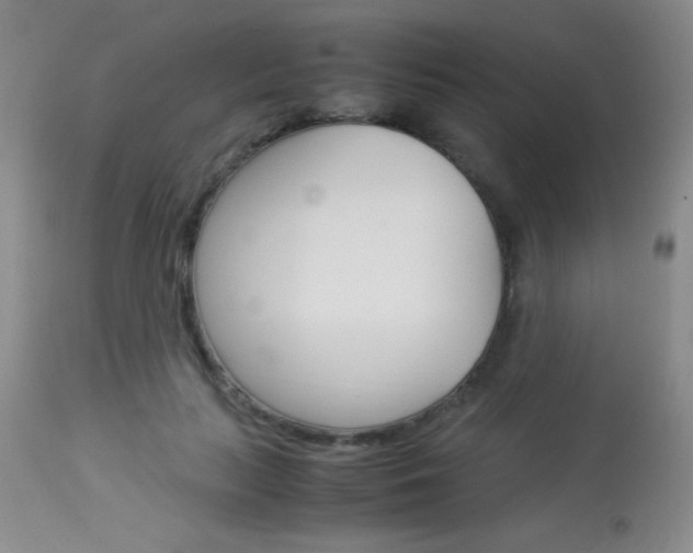 X0000114010647200910020953