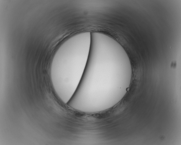 X0000114010648200910020953