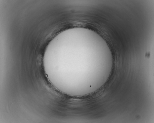 X0000114010649200910020953