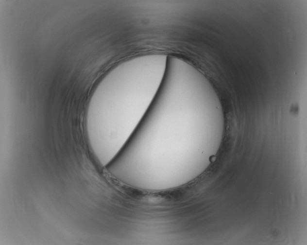 X0000114010650200910020953