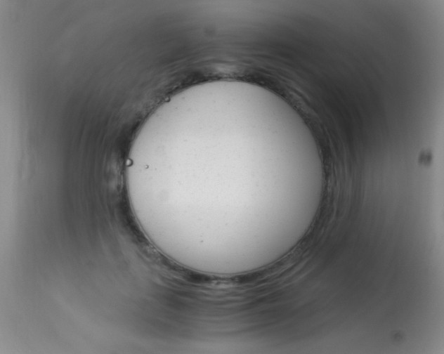 X0000114010651200910020953