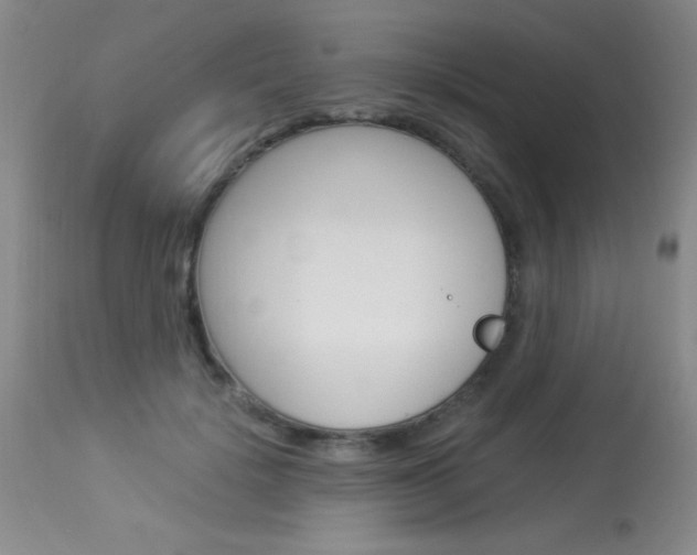 X0000114010652200910020953