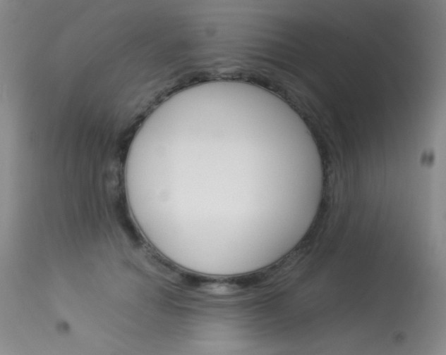 X0000114010654200910020953