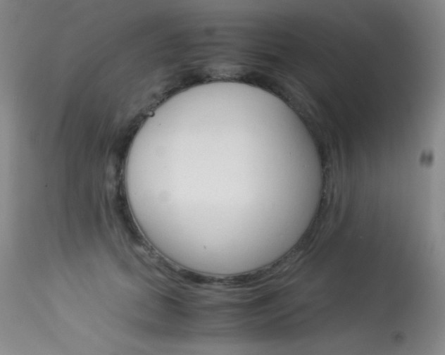 X0000114010655200910020953
