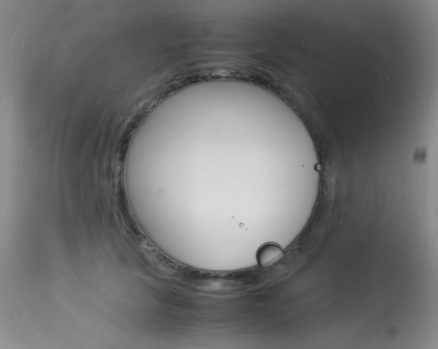 X0000114010657200910020953