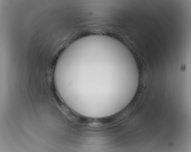 X0000114010658200910020953