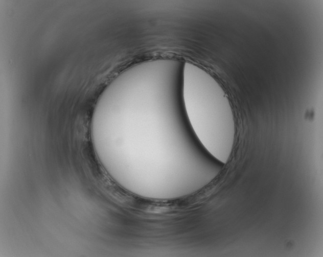 X0000114010661200910020953