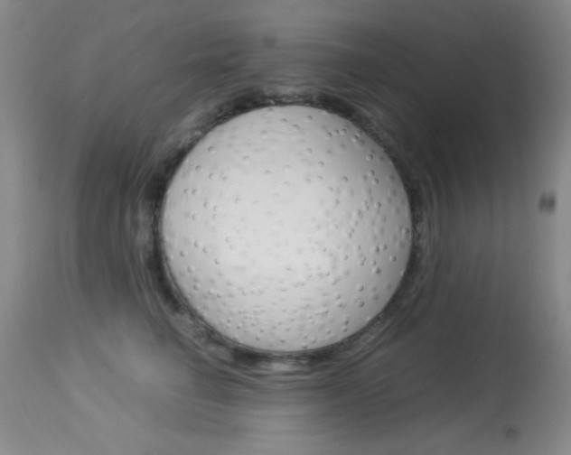 X0000114010662200910020953