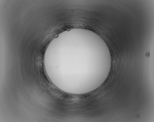 X0000114010663200910020953