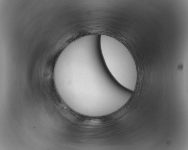 X0000114010665200910020953