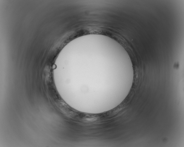 X0000114010667200910020953
